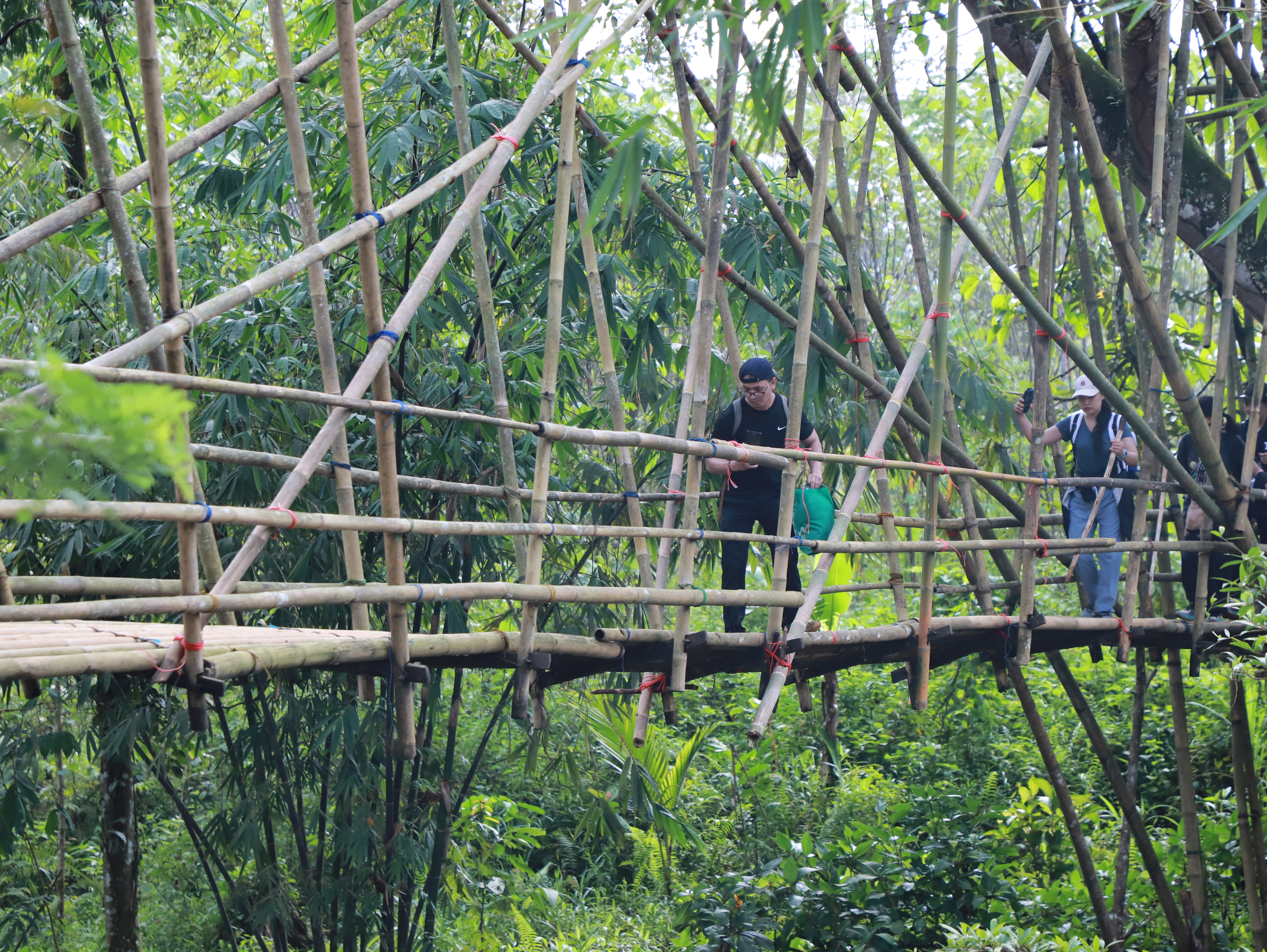 Jembatan Bambu Trip Baduy